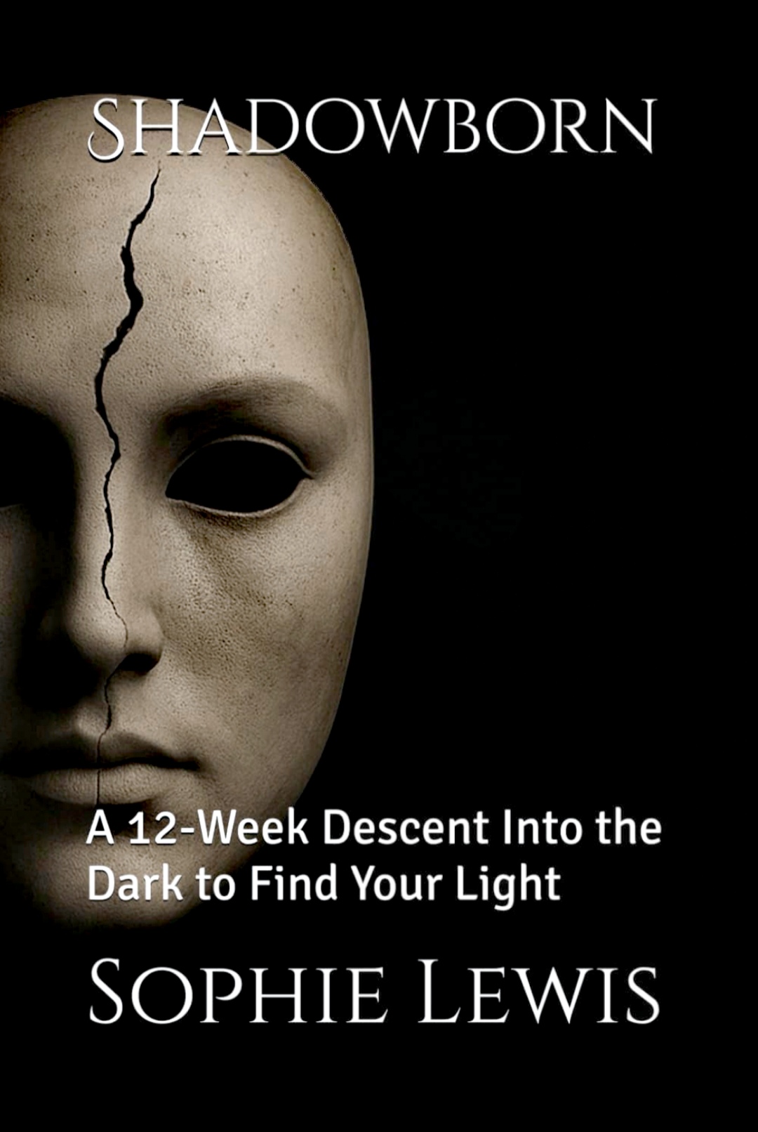 SHADOWBORN: The Book