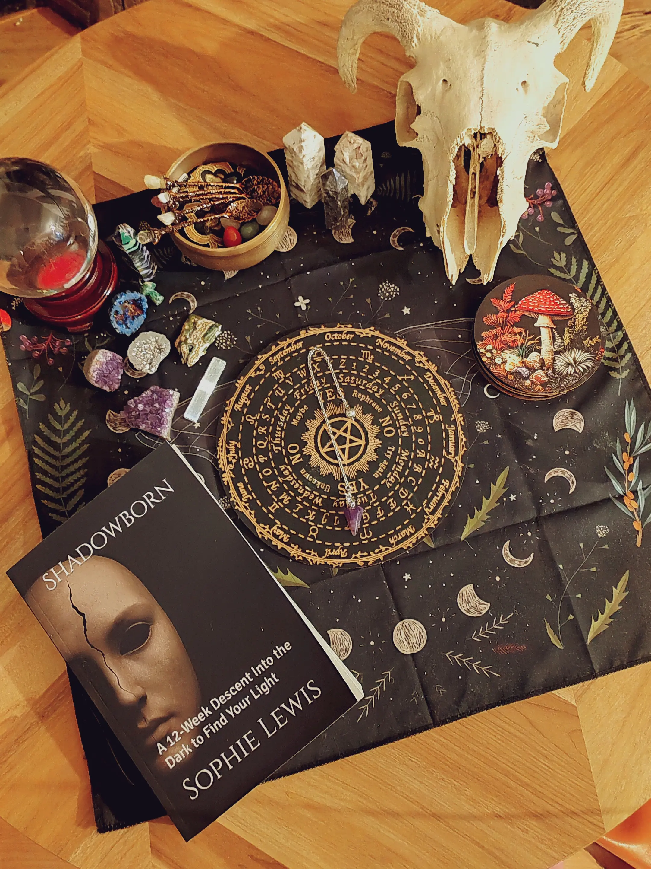 SHADOWBORN book on altar with candles