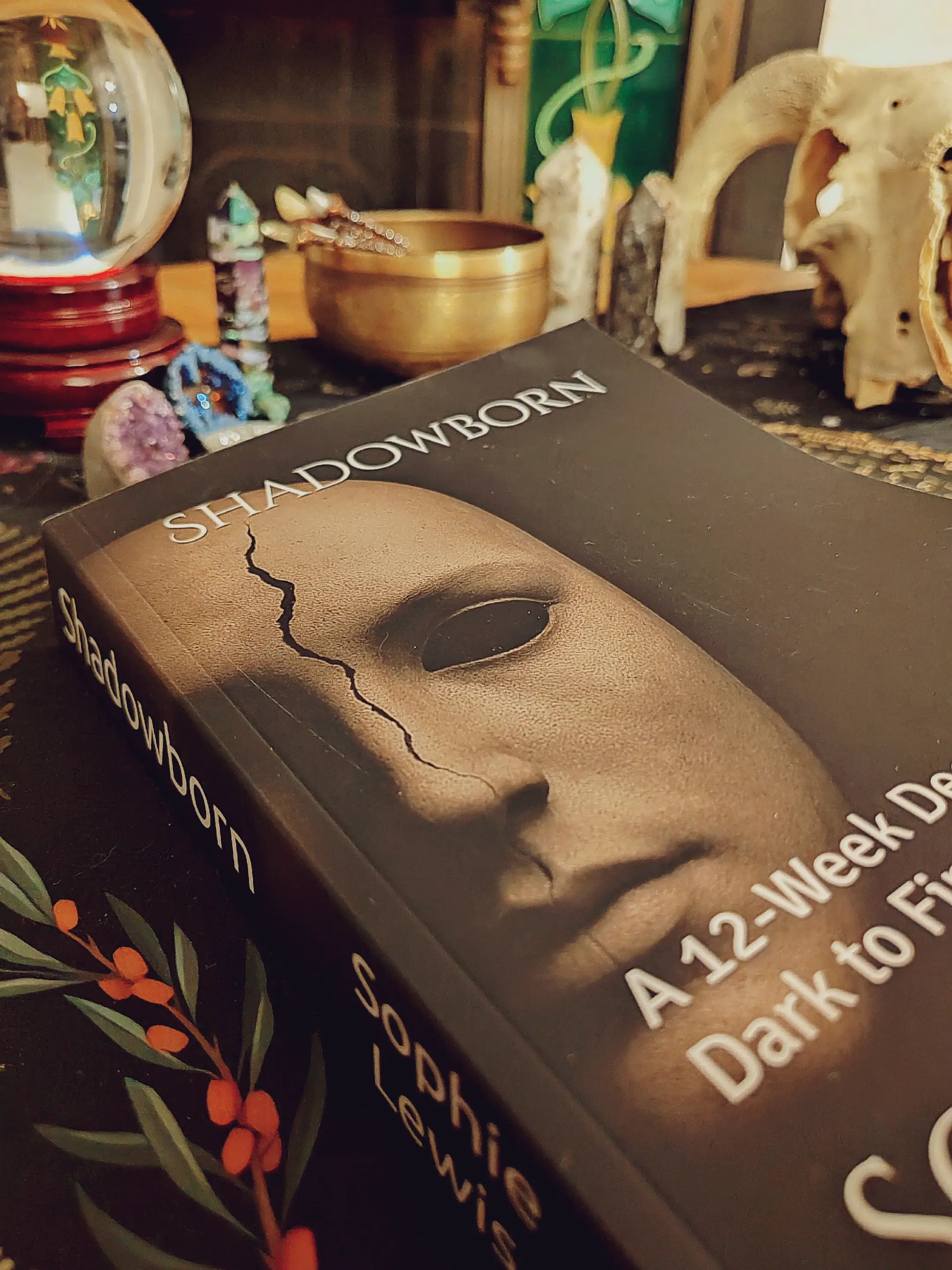 SHADOWBORN book altar scene 3